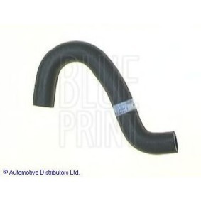 Compre Tubo de radiador de BLUE PRINT online para BLUEBIRD Hatchback (T72, T12) a preços moderados