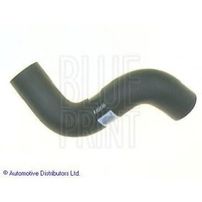 Acquista Manicotto radiatore da BLUE PRINT online per PRIMERA Traveller (W10) a prezzi moderati