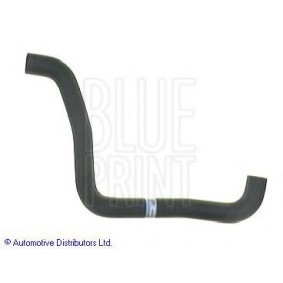 Compre Tubo de radiador de BLUE PRINT online para BLUEBIRD Hatchback (T72, T12) a preços moderados
