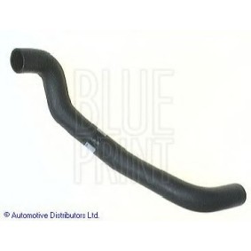 Compre Tubo de radiador de BLUE PRINT online para BLUEBIRD Station Wagon (WU11) a preços moderados