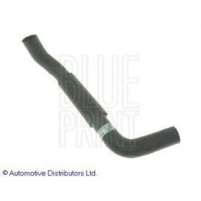 Compre Tubo de radiador de BLUE PRINT online para BLUEBIRD Hatchback (T72, T12) a preços moderados