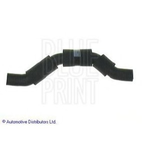 Compre Tubo de radiador de BLUE PRINT online para CELICA Coupé (AT18_, ST18_) a preços moderados
