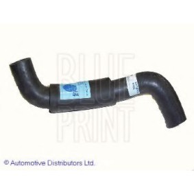 Compre Tubo de radiador de BLUE PRINT online para CELICA Coupé (AT18_, ST18_) a preços moderados