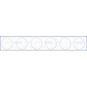 Dichtungssatz, Zylinderlaufbuchse 60005300 von AJUSA günstig für 17,52 € online kaufen