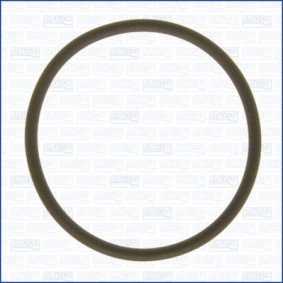 Compre Junta de colector de admisión de AJUSA online para Spacefox / Space Cross (5Z6, 5Z7, 5Z9) a precios moderados