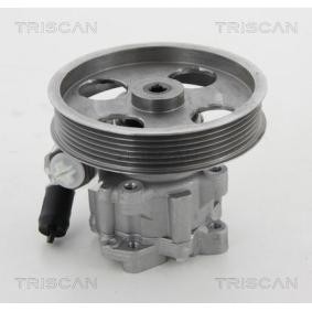 Acquista Pompa idraulica, sterzo da TRISCAN 8515 15621 a buon mercato per soli 308,95 €