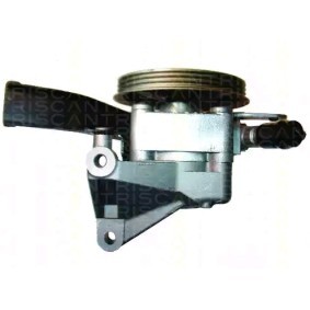 Acquista Pompa idraulica, sterzo da TRISCAN 8515 15622 a buon mercato per soli 347,77 €