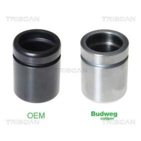 Comprar Émbolo, pinza del freno de TRISCAN 8170 234039 a bajo precio de 24,98 €