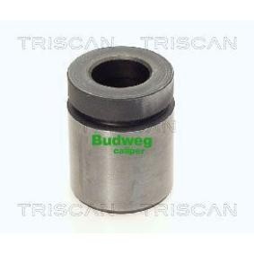 Kolben, Bremssattel 8170 233844 von TRISCAN günstig für 20,90 € online kaufen