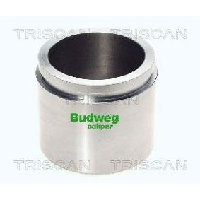Kolben, Bremssattel 8170 236038 von TRISCAN günstig für 31,69 € online kaufen