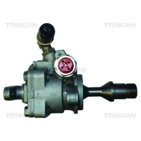Acquista Pompa idraulica, sterzo da TRISCAN 8515 12602 a buon mercato per soli 346,60 €