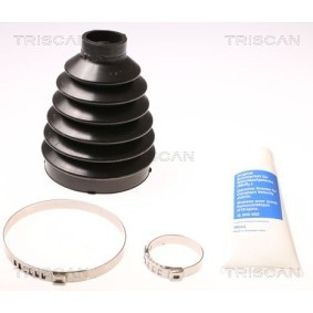 Dichtungssatz, Kurbelgehäuse 595-1008 von TRISCAN günstig für 79,10 € online kaufen