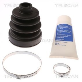 Dichtungssatz, Kurbelgehäuse 595-1038 von TRISCAN günstig für 34,60 € online kaufen