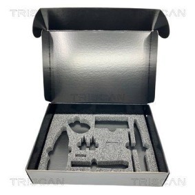 Comprar Juego de juntas, bloque motor de TRISCAN 595-5510 a bajo precio de 28,68 €