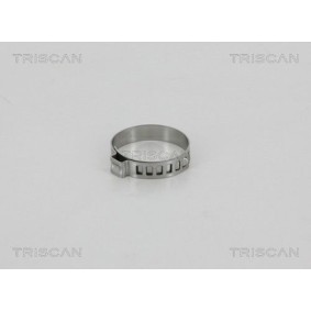 Dichtungssatz, Kurbelgehäuse 595-6054 von TRISCAN günstig für 92,10 € online kaufen