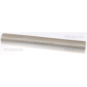 Dichtungssatz, Kurbelgehäuse 595-85120 von TRISCAN günstig für 31,77 € online kaufen