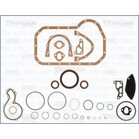 Dichtungssatz, Kurbelgehäuse 595-8513 von TRISCAN günstig für 67,63 € online kaufen