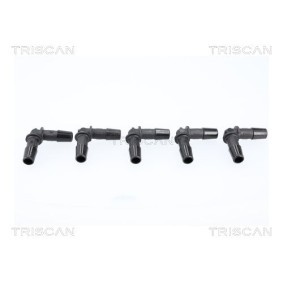 Dichtungssatz, Zylinderkopf 597-1002 von TRISCAN günstig für 85,03 € online kaufen
