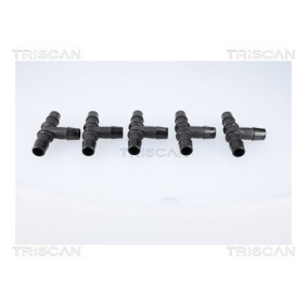 Dichtungssatz, Zylinderkopf 597-2560 von TRISCAN günstig für 60,09 € online kaufen