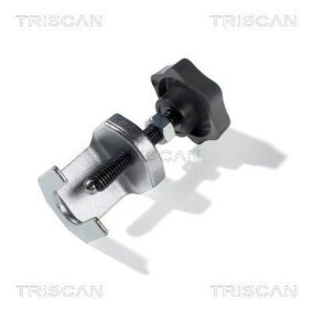 Dichtungssatz, Zylinderkopf 598-1703 von TRISCAN günstig für 126,95 € online kaufen