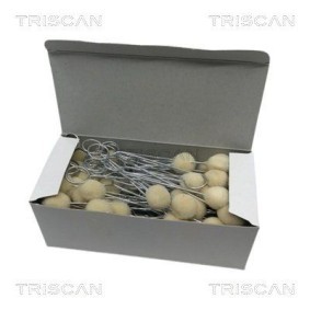 Dichtungssatz, Zylinderkopf 598-1748 von TRISCAN günstig für 234,01 € online kaufen