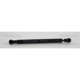 Dichtungssatz, Zylinderkopf 598-7019 von TRISCAN günstig für 97,86 € online kaufen