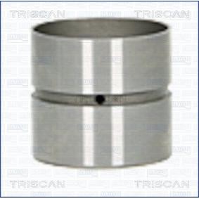 Hydrostößel für PEUGEOT von TRISCAN