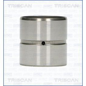 Hydrostößel für AUDI von TRISCAN