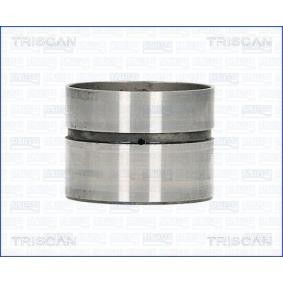Hydrostößel für AUDI von TRISCAN