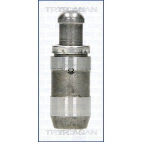 Hydrostößel für RENAULT von TRISCAN