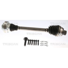 Zylinderkopfdichtung 501-1006 von TRISCAN günstig für 76,43 € online kaufen