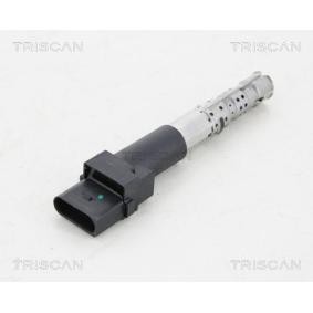 Zündspule von TRISCAN
