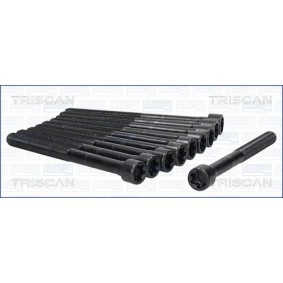 Zylinderkopfschraubensatz 98-2504 von TRISCAN günstig für 36,40 € online kaufen