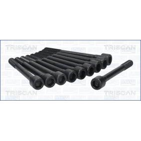 Zylinderkopfschraubensatz 98-4500 von TRISCAN günstig für 29,63 € online kaufen