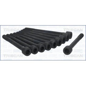 Zylinderkopfschraubensatz 98-4503 von TRISCAN günstig für 33,98 € online kaufen