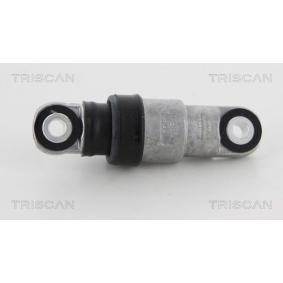 Schwingungsdämpfer, Keilrippenriemen 8641 113021 von TRISCAN günstig für 52,03 € online kaufen
