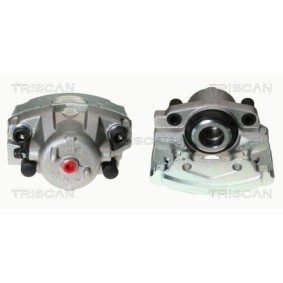 Spannarm, Keilrippenriemen 8641 403003 von TRISCAN günstig für 109,84 € online kaufen