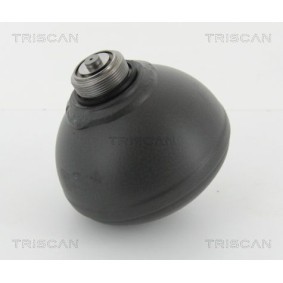 Acquista Accumulatore pressione, Sospensione / Ammortizzazione da TRISCAN 8760 38225 a buon mercato per soli 102,71 €
