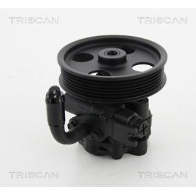 Acquista Pompa idraulica, sterzo da TRISCAN 8515 18601 a buon mercato per soli 215,31 €