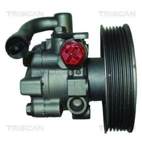 Acquista Pompa idraulica, sterzo da TRISCAN 8515 18608 a buon mercato per soli 238,61 €