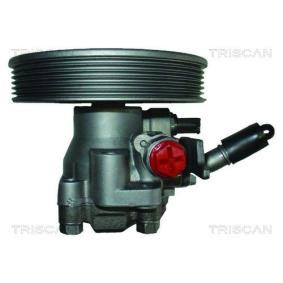 Acquista Pompa idraulica, sterzo da TRISCAN 8515 18609 a buon mercato per soli 268,64 €