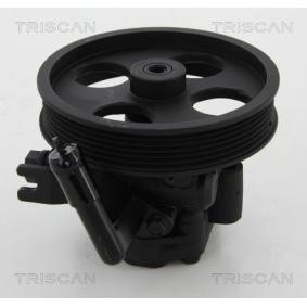 Acquista Pompa idraulica, sterzo da TRISCAN 8515 18612 a buon mercato per soli 284,72 €
