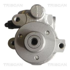 Compre Bomba de direção de TRISCAN online para Megane I Van / Hatchback (SA0/1_) a preços moderados