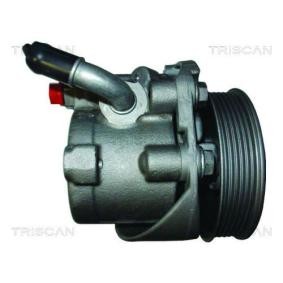 Servopumpe von TRISCAN 8515 25643