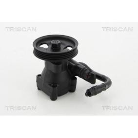 Acquista Pompa idraulica, sterzo da TRISCAN 8515 43604 a buon mercato per soli 248,77 €
