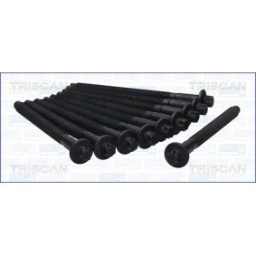 Zylinderkopfschraubensatz 98-5511 von TRISCAN günstig für 35,87 € online kaufen