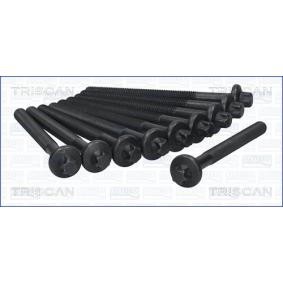Zylinderkopfschraubensatz 98-6008 von TRISCAN günstig für 31,15 € online kaufen