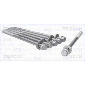 Zylinderkopfschraubensatz 98-6912 von TRISCAN günstig für 67,39 € online kaufen