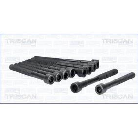 Zylinderkopfschraubensatz 98-7504 von TRISCAN günstig für 33,81 € online kaufen