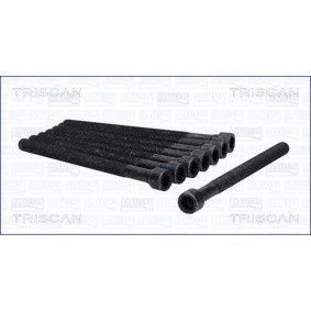Zylinderkopfschraubensatz 98-8527 von TRISCAN günstig für 58,39 € online kaufen